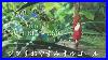 Bgm-Studio-Ghibli-Music-Box-Collection-Rain-Sound-Bgm-01-dled