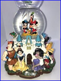 Disney Double Snow Globe A Dream is a Wish Your Heart Makes Lights & Music