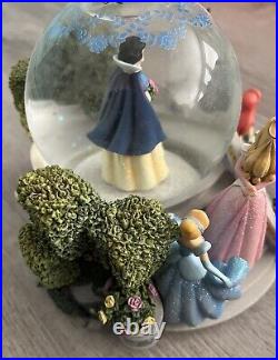 Disney Musical Multi Princess Snow Globe With Tune Once Upon A Dream With Box