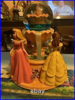Disney Princess Fairy Tales Musical Snow Globe A Dream is Wish Heart Makes