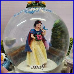 Disney Princess Once Upon A Dream Bridge Musical Snow Globe with original Box