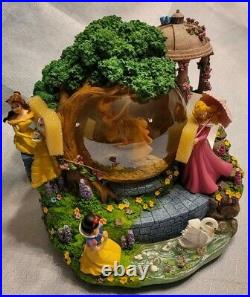 Disney Princess Swan Lake Garden Tea Party Musical Large 9 x 9 Snow Globe