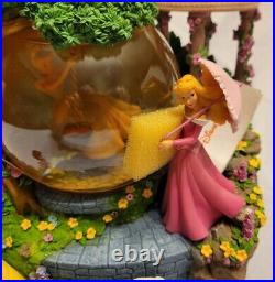Disney Princess Swan Lake Garden Tea Party Musical Large 9 x 9 Snow Globe