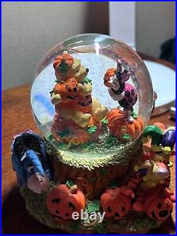 Disney Winnie the Pooh Piglet Eeyore Tigger Halloween Pumpkin Musical Snow Globe