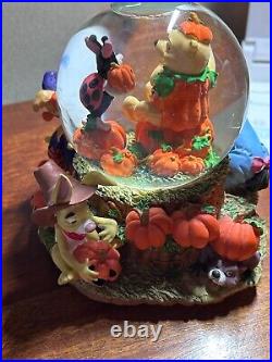 Disney Winnie the Pooh Piglet Eeyore Tigger Halloween Pumpkin Musical Snow Globe