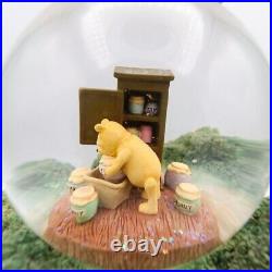Disney's Winnie The Pooh And Friends Tree House Musical Snow Globe Rare READ