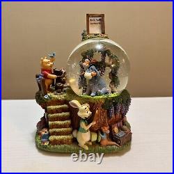 RARE Disney Winnie The Pooh Photographer Musical Snow Globe