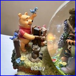 RARE Disney Winnie The Pooh Photographer Musical Snow Globe