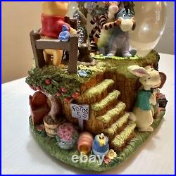 RARE Disney Winnie The Pooh Photographer Musical Snow Globe