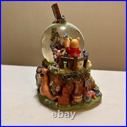 RARE Disney Winnie The Pooh Photographer Musical Snow Globe