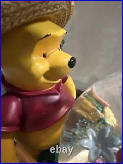 Rare Disney ParksWinnie The Pooh And Piglet Musical Snow Globe HTF