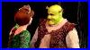 Shrek-The-Musical-Full-Broadway-Dreamworks-Theatricals-01-li